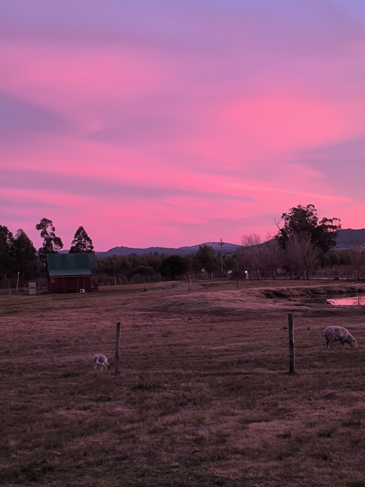 2601_WhatsApp Image 2025-12-24 at 11.43.11 (4).jpeg